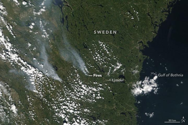 Historic wildfires are raging across Sweden
