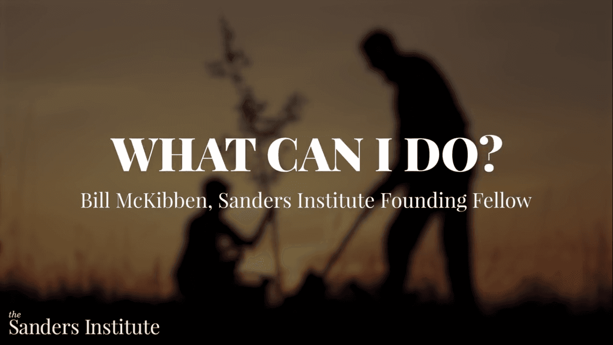 How can you help fight climate change?