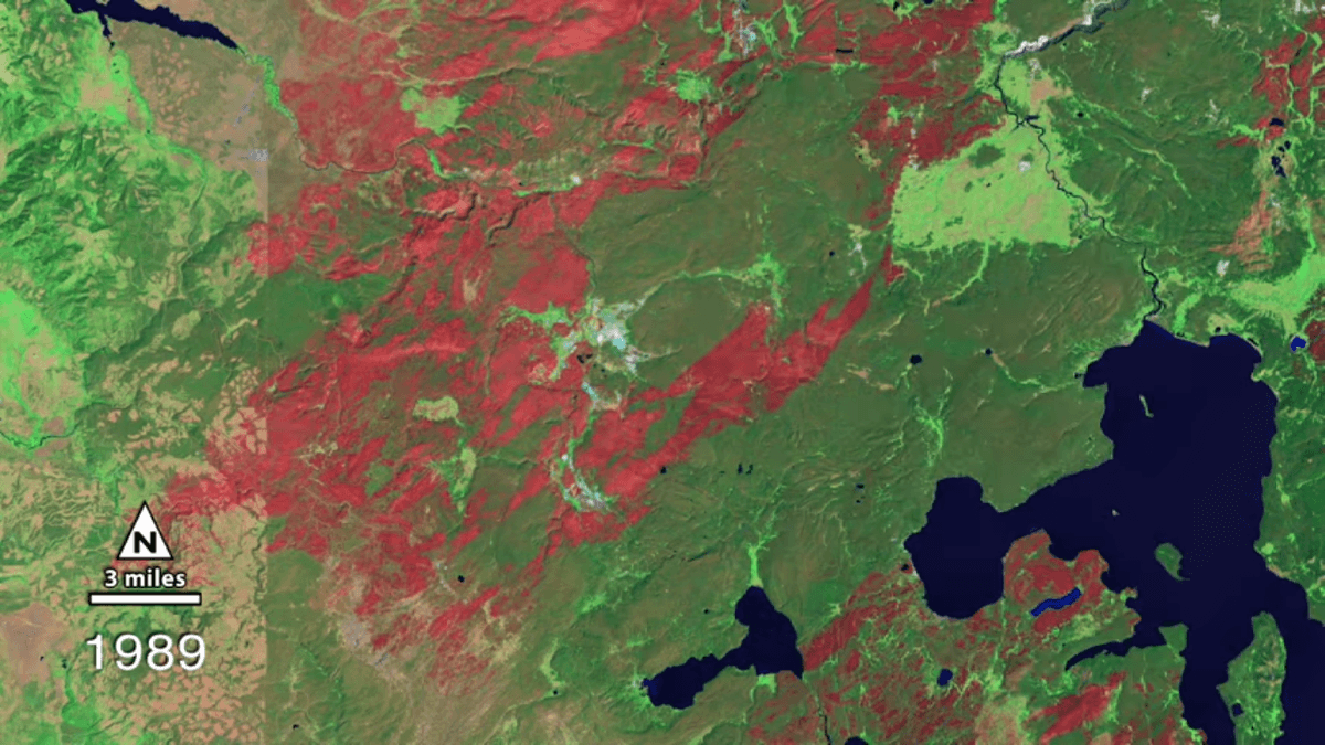Yellowstone's landscape was forever changed by 1988 fires
