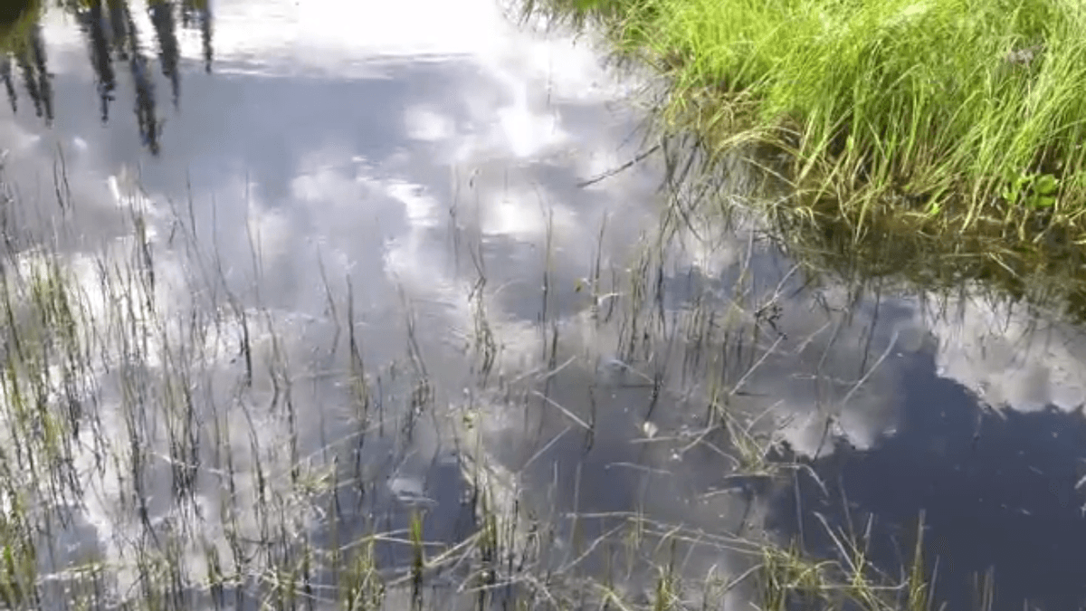 Arctic lakes could accelerate CO2 emissions