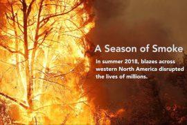 The destructive wildfire season of summer 2018