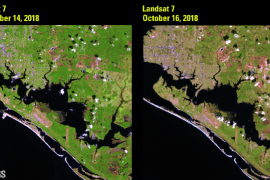 Before and after Hurricane Michael
