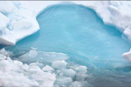 Blue ice brightens up Antarctica in the summer