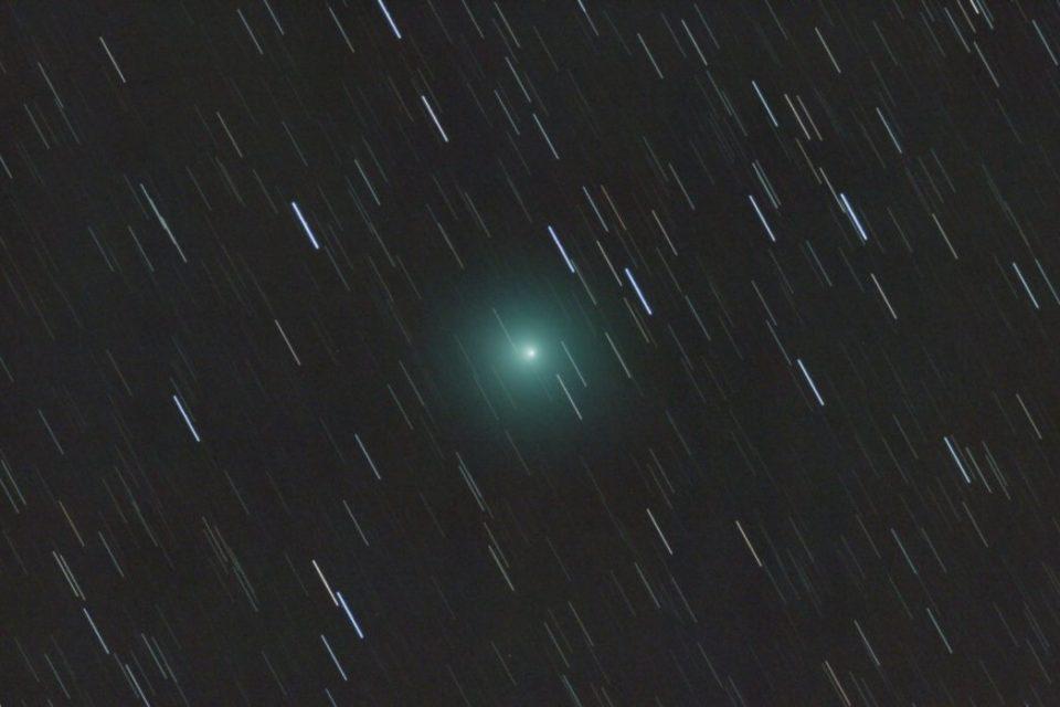 Comet 46P is visible in the sky this month
