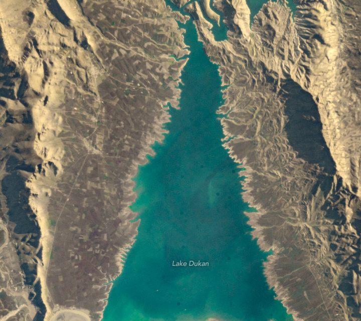 Lake Dukan looks just like a Christmas tree
