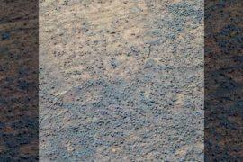 The discoveries of the Mars rover mission