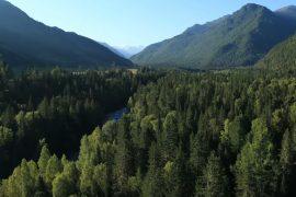 OCO-3 will monitor Earth's plants from space