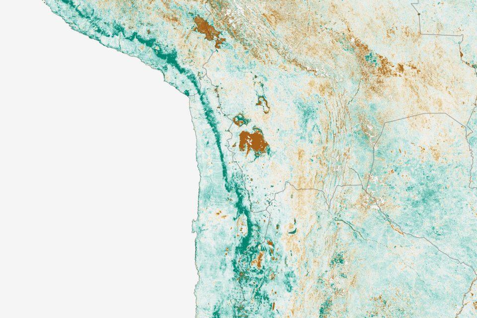 The Atacama Desert turns green