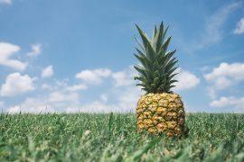 2019/06/pineapple-867245_1280.jpg