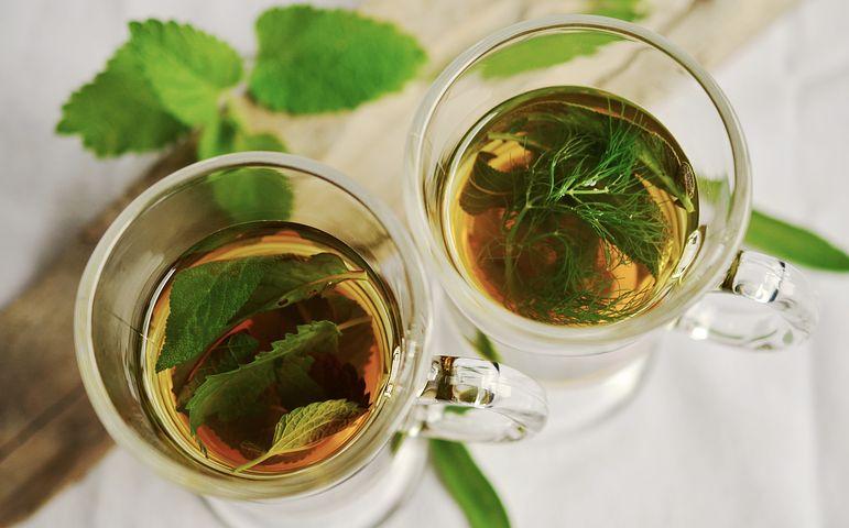 Intro to the Mint Plant (and the Top Mint Plant Uses)