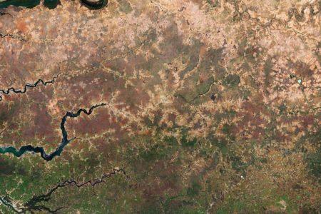 2019/06/Desert_greenery_article_mob1.jpg