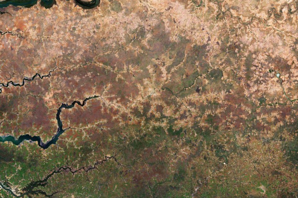 The Great Green Wall in Africa