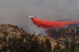 How does fertilizer help extinguish wildfires?
