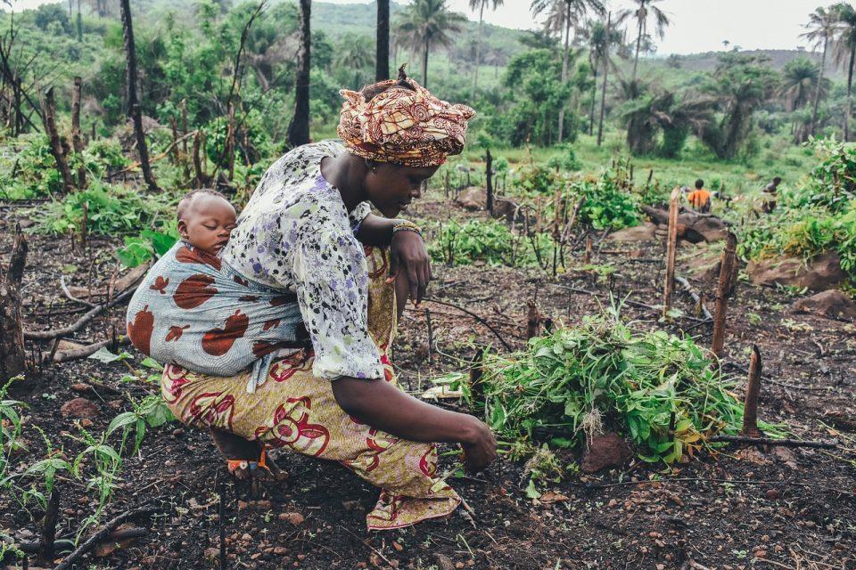 What Is Subsistence Farming?