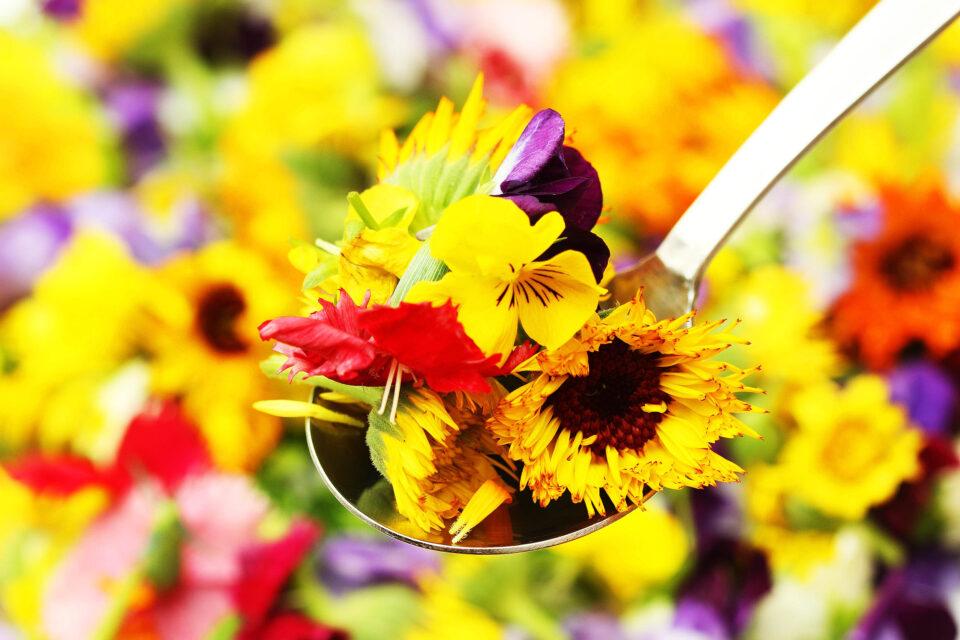 Most Popular Edible Flowers (And How to Eat Them)