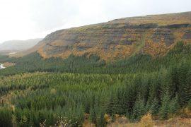 2019/08/Thjorsardalur_National_Forest_Iceland.jpg