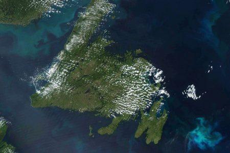 2019/09/newfoundlandbloom_amo_2019244_lrg.jpg