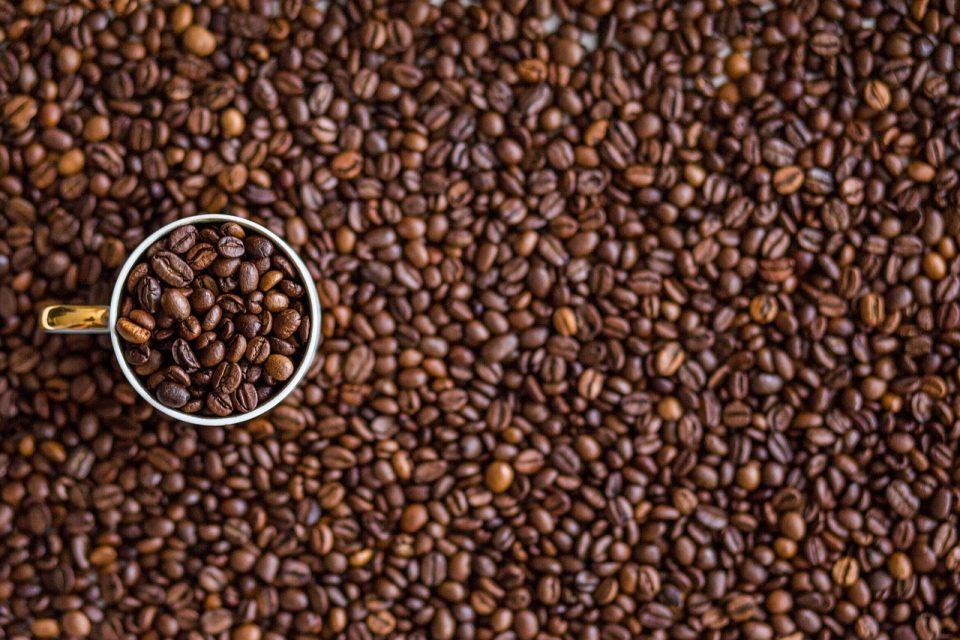 Coffee Grounds in Garden Care (How And Why To Use Them)