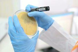 Modifying metal surfaces to kill viruses instantly