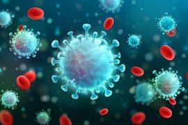 How viruses evade the immune system