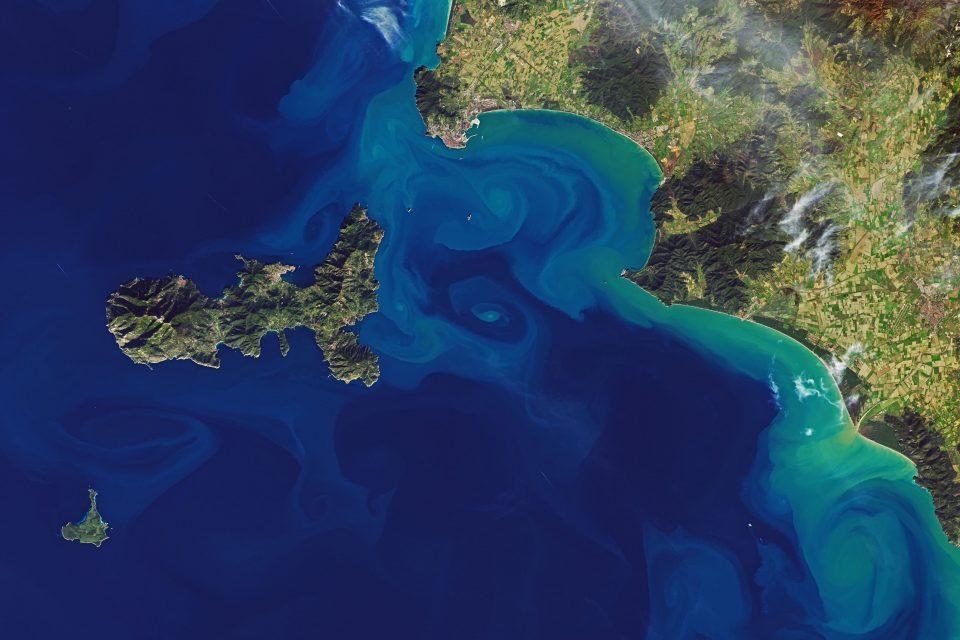 Colorful display in the Mediterranean Sea