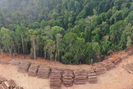 Land use changes affect disease transmission