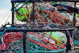 Chemists are creating ocean-friendly fishing nets