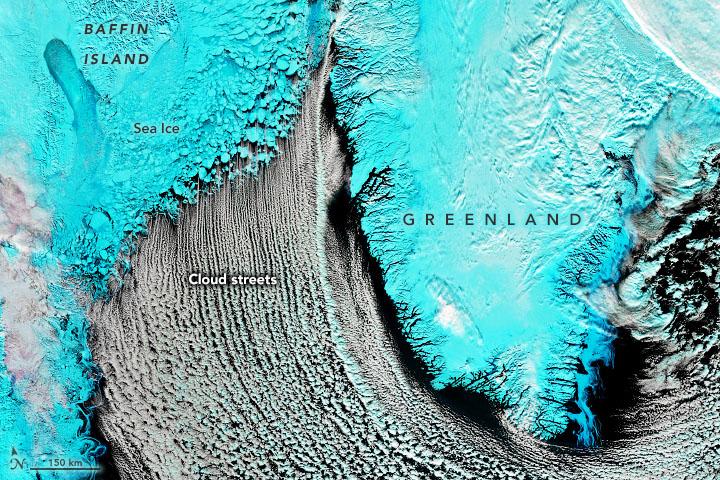 Cloud streets over the Labrador Sea