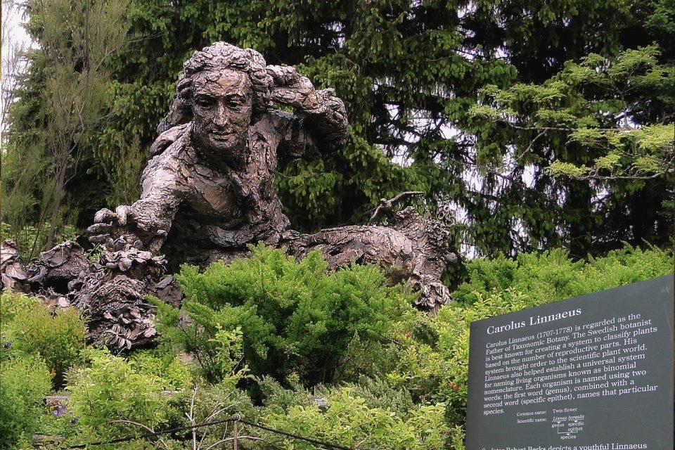 The 5 Most Famous Botanists in History