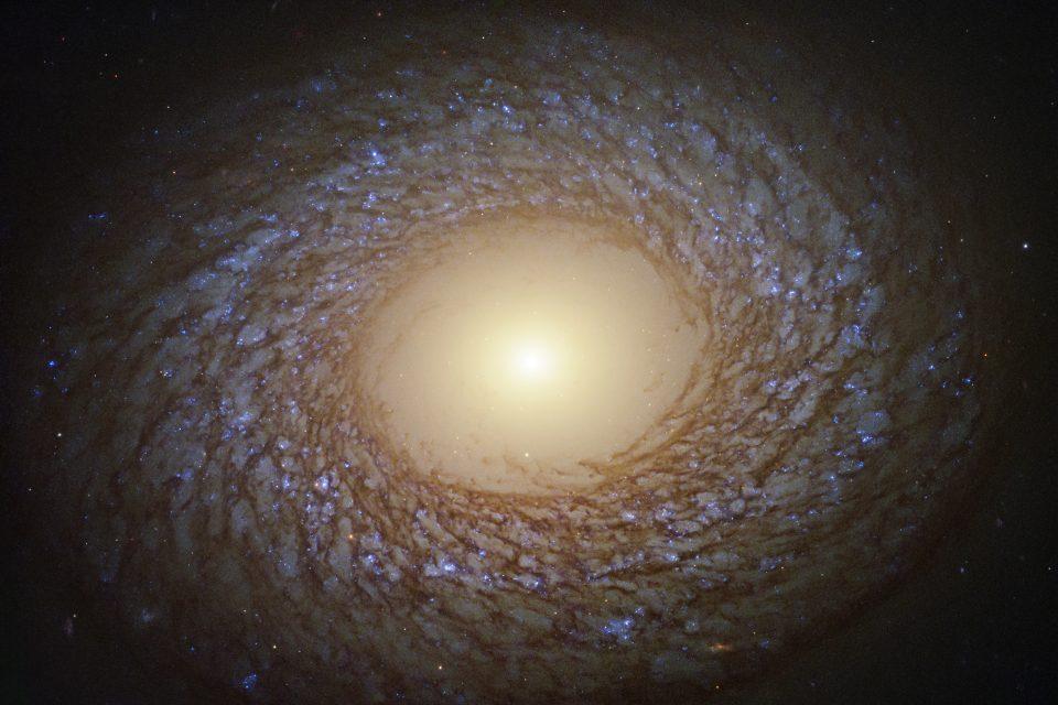Spiral galaxy outlined with bright stars and dark dust