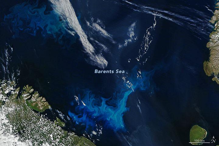 Phytoplankton explode across the Barents Sea