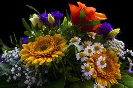 2020/08/bouquet-2498384_1920.jpg