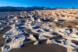 Pumice raft transports life across the ocean