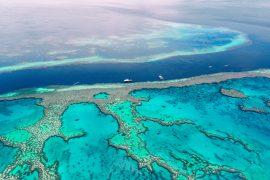 Intervention is needed to save the Great Barrier Reef