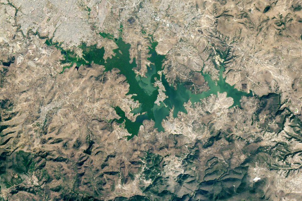 Water hyacinths have invaded the Valsequillo reservoir