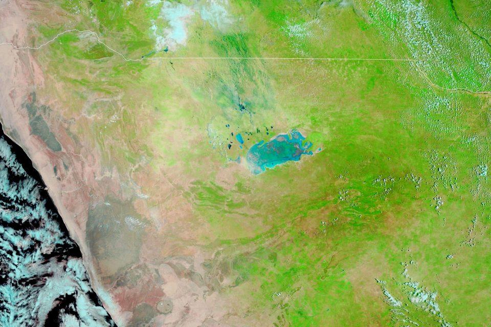 Seasonal rains transform Etosha National Park