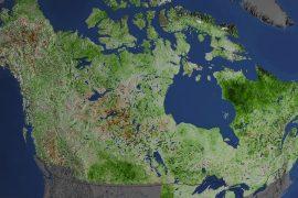 Global warming is turning the Arctic green