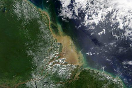 amazondelta_tmo_2020211_lrg2.jpg