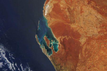 sharkbay_amo_2020274_lrg.jpg
