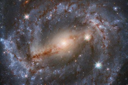 Spirals Are In This Season