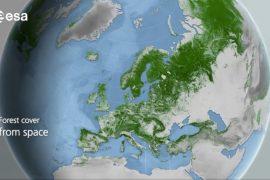 Monitoring Earth's surface from space