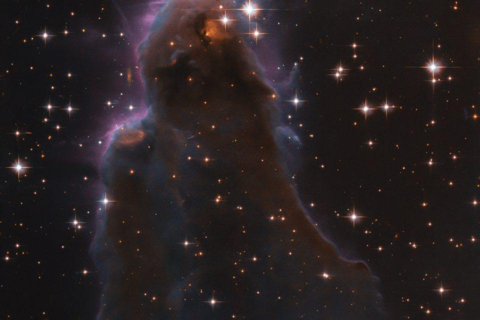 Hubble captures the development of baby stars