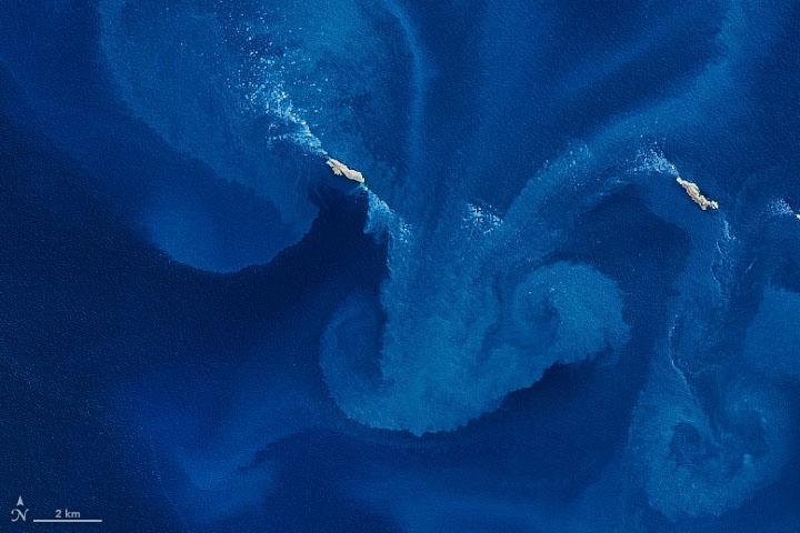 Blue swirls of phytoplankton in the South Atlantic