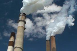 How much did pollution levels drop due to COVID-19 shutdowns?