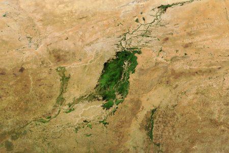 nigerdelta_tmo_2020303_lrg2.jpg