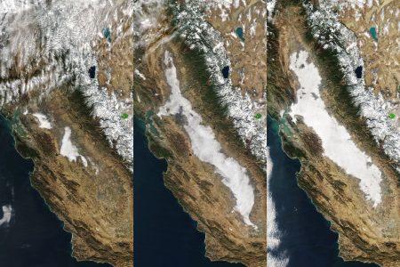 california_tamo_2020356_lrg.jpg