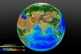 Plants are struggling to keep up with rising CO2 levels