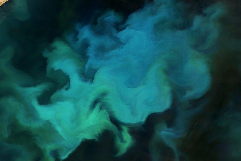 Colorful phytoplankton blooms off Argentina