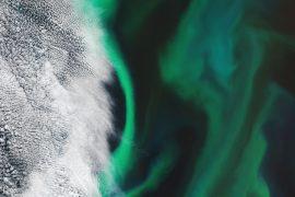 Algal bloom off the coast of Japan