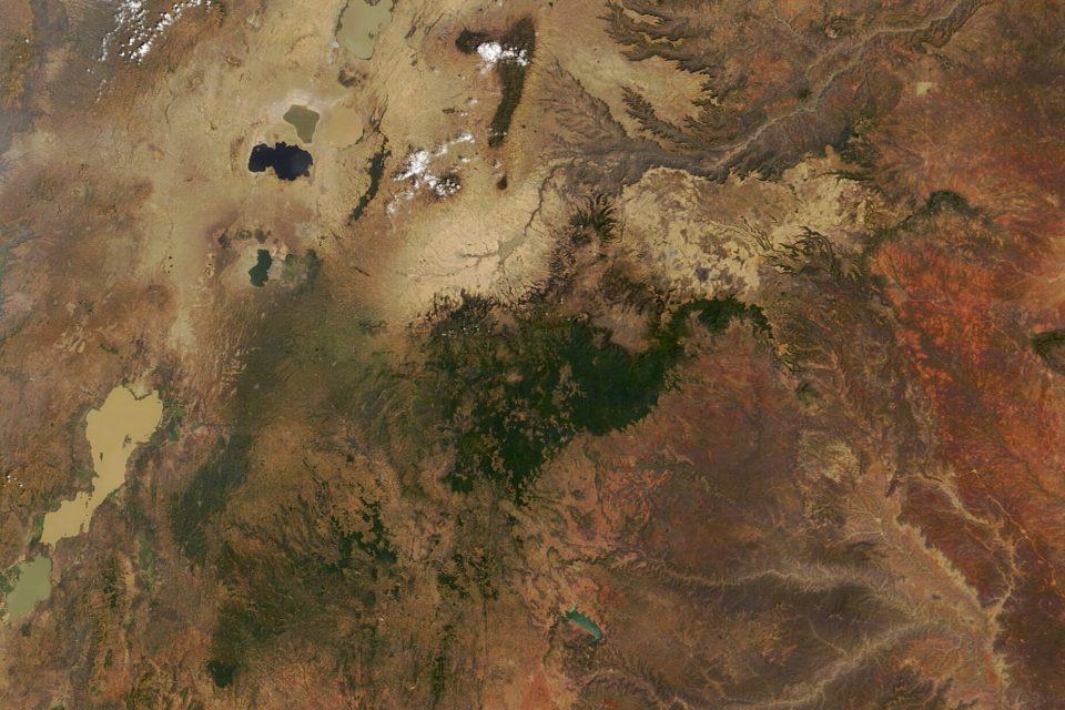The Harenna Forest in southeastern Ethiopia